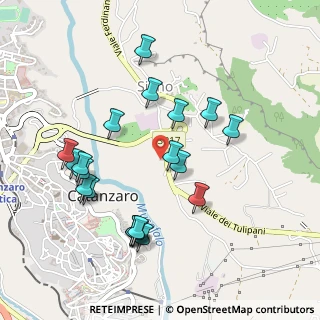 Mappa Via dei Tulipani, 88100 Siano CZ, Italia (0.5495)