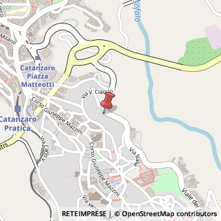 Mappa Via D. Milelli, 14, 88100 Catanzaro, Catanzaro (Calabria)