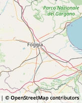 Odontoiatri e Dentisti - Medici Chirurghi Foggia,71122Foggia