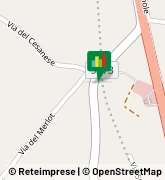 Piazza della Pace, snc,04010Sonnino