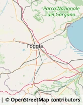 Automobili - Commercio Foggia,71121Foggia