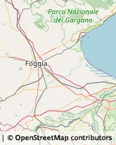 Logopedia Lucera,71036Foggia