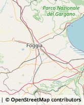 Imprese di Pulizia Foggia,71122Foggia