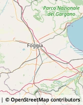 Pediatri - Medici Specialisti Foggia,71121Foggia