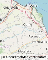 Grassi Uso Alimentare Ancona,60125Ancona