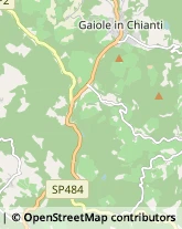 Aziende Agricole Gaiole in Chianti,53013Siena