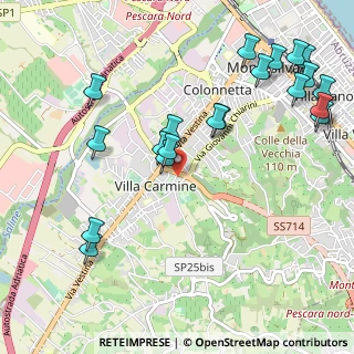 Mappa Via San Padre Pio da Pietrelcina, 65015 Montesilvano PE, Italia (1.3055)