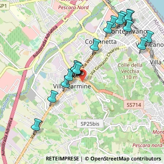 Mappa Via San Padre Pio da Pietrelcina, 65015 Montesilvano PE, Italia (1.123)