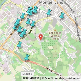 Mappa Via Fonte Romana, 65015 Montesilvano PE, Italia (0.688)