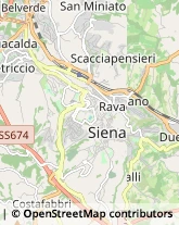 Studi Medici Generici Siena,53100Siena