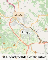 Studi Medici Generici Siena,53100Siena