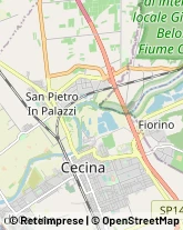 Falegnami Cecina,57023Livorno