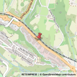 Mappa Viale Pietro Toselli,  12, 53100 Siena, Siena (Toscana)