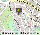 Agenti e Rappresentanti di Commercio Siena,53100Siena