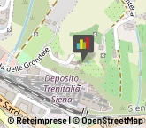 Appartamenti e Residence Siena,53100Siena