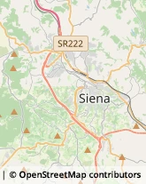 Tour Operator e Agenzia di Viaggi Siena,53100Siena