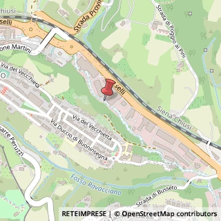 Mappa Viale Pietro Toselli, 10, 53100 Siena, Siena (Toscana)