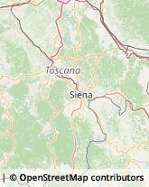 Demolizioni e Scavi Castelnuovo Berardenga,53019Siena