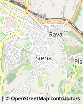 Alberghi Siena,53100Siena