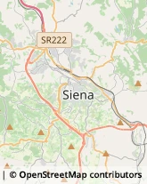 Geometri Siena,53100Siena