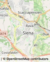 Geometri Siena,53100Siena