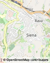 Geometri Siena,53100Siena