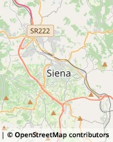 Vendite per Corrispondenza Siena,53100Siena