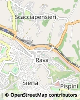 Ingegneri Siena,53100Siena