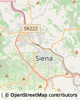 Autofficine e Centri Assistenza Siena,53100Siena