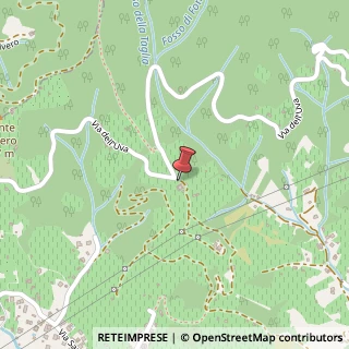Mappa Via dell'Uva, 1, 54100 Massa, Massa-Carrara (Toscana)
