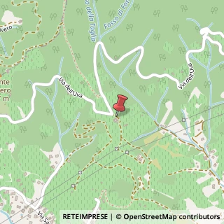 Mappa Via dell'Uva, 13b, 54100 Massa, Massa-Carrara (Toscana)