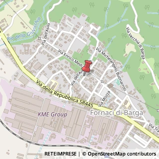 Mappa Via Risorgimento, 9, 55051 Barga, Lucca (Toscana)