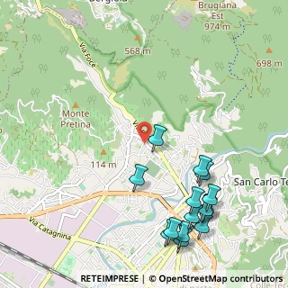 Mappa Via S. Vitale, 54100 Massa MS, Italia (1.33143)