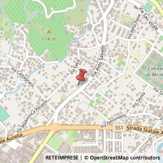 Mappa Via Aldo Salvetti, 37, 54100 Massa, Massa-Carrara (Toscana)
