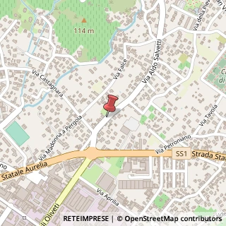 Mappa Via Aldo Salvetti,  38, 54100 Massa, Massa-Carrara (Toscana)
