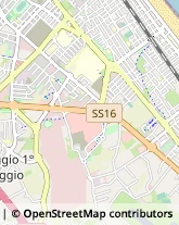 Viale Amerigo Vespucci, 79/B,47900Rimini