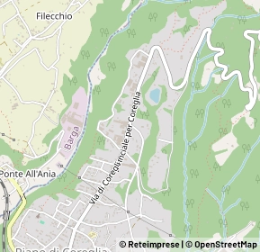 Mappa Località Case Dalli, 55025 Coreglia Antelminelli LU, Italia (0.54615)