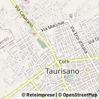 Kart Taurisano