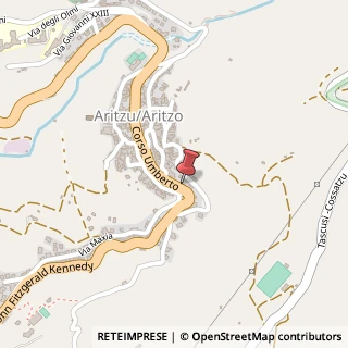 Mappa Corso Umberto, 135, 08031 Aritzo, Nuoro (Sardegna)