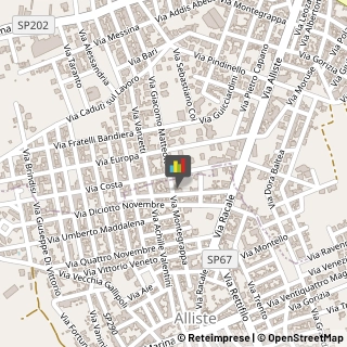 Frutta e Verdura - Dettaglio Alliste,73040Lecce