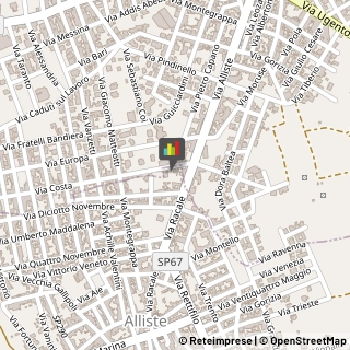 Palestre e Centri Fitness Alliste,73055Lecce