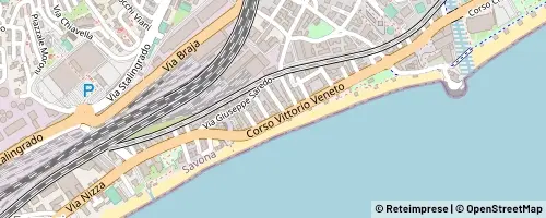 Mappa Savona