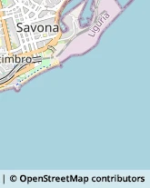 Porti e Servizi Portuali Savona,17100Savona