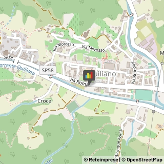 Osteopatia Quiliano,17047Savona