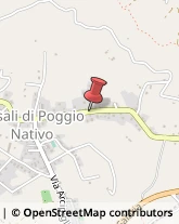 Via Farense, 26,02030Poggio Nativo