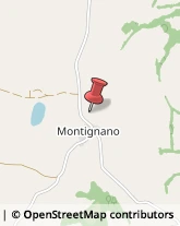 Località Montignano, 6,06056Massa Martana