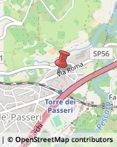 Via Roma, 47,65029Torre de' Passeri