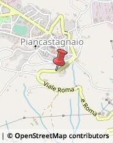 Viale Roma, 778,53025Piancastagnaio