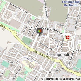 Infermieri ed Assistenza Domiciliare,47034Forlì-Cesena