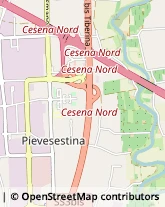 Via Oberdan, 280,47522Cesena